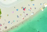 Ai Pini