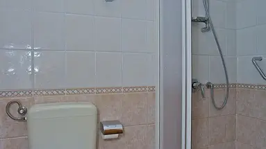 Ai Pini