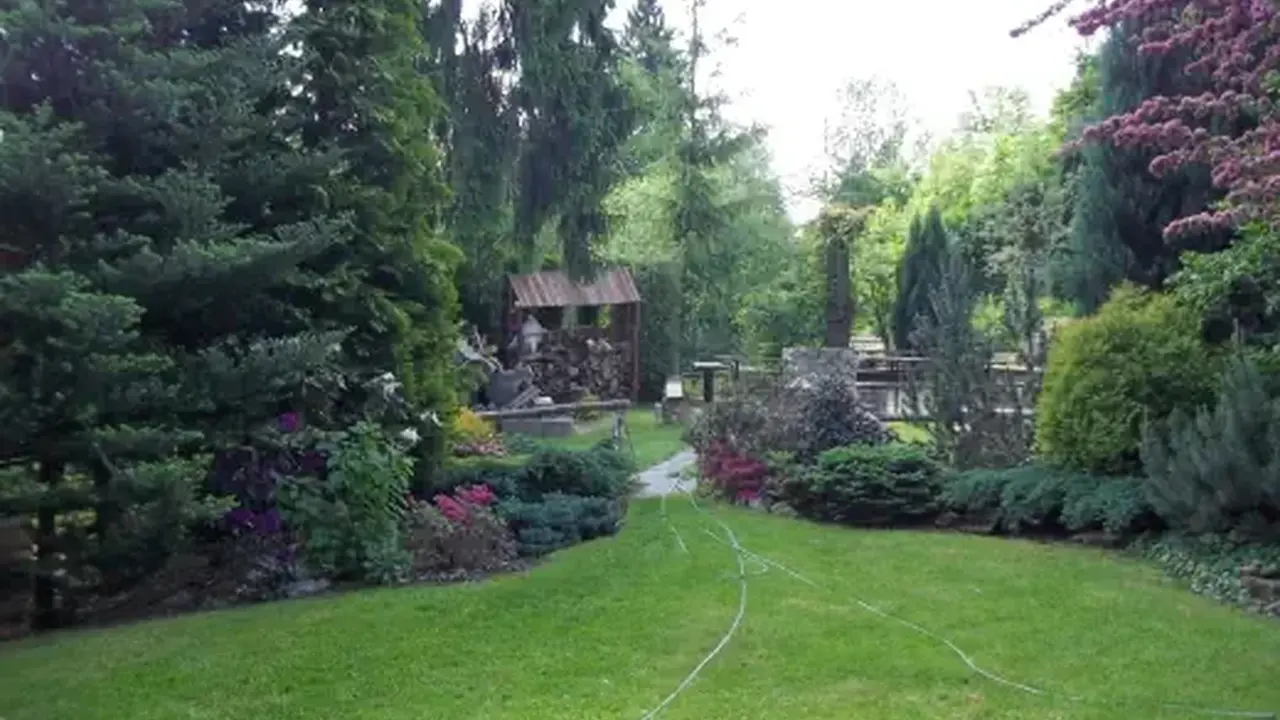 Akacja (Kudowa Zdrój)