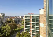 Aktinia