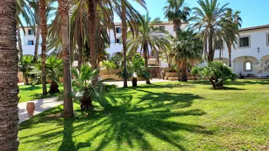 Al Balhara Resort & Spa
