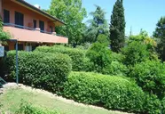 Al Colle dei Pini