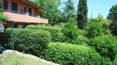Al Colle dei Pini