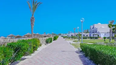 Al Jazira Beach