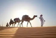 Al Maha a Luxury Collection Desert Resort & Spa