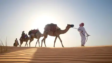 Al Maha a Luxury Collection Desert Resort & Spa