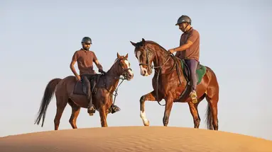 Al Maha a Luxury Collection Desert Resort & Spa