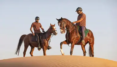 Al Maha a Luxury Collection Desert Resort & Spa