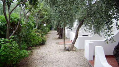 Al Pozzo