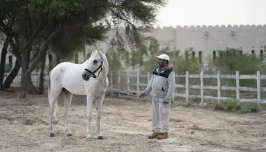 Al Samriya Doha Autograph Collection