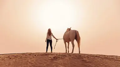 Al Wathba a Luxury Collection Desert Resort & Spa (ex. Jumeirah Al Wathba Desert)