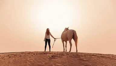Al Wathba a Luxury Collection Desert Resort & Spa (ex. Jumeirah Al Wathba Desert)