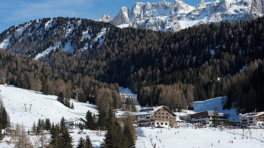 Alaska (Selva Di Val Gardena)