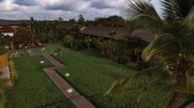 Alaya Ubud