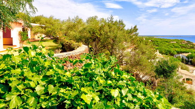 Alba Dorata Resort