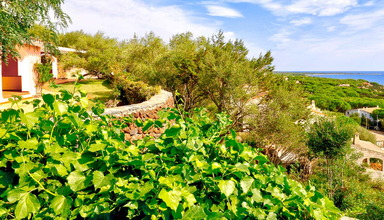 Alba Dorata Resort