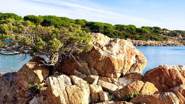 Alba Dorata Resort