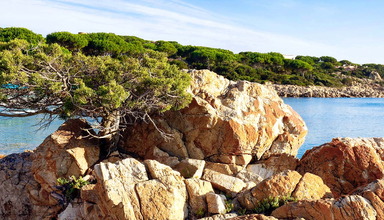 Alba Dorata Resort