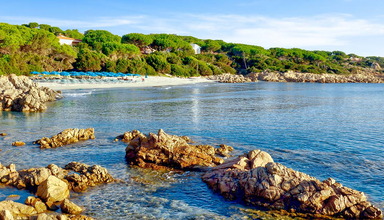 Alba Dorata Resort
