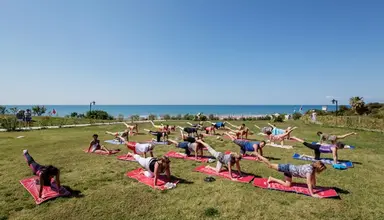 Alba Resort