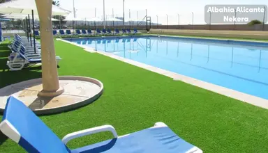 Albahia Alicante