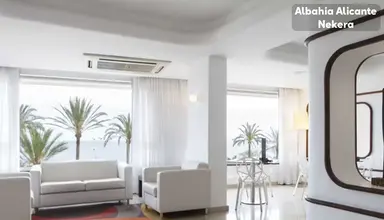 Albahia Alicante