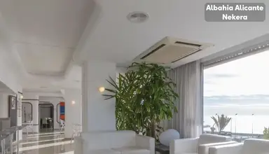 Albahia Alicante