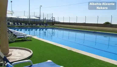 Albahia Alicante