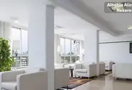 Albahia Alicante