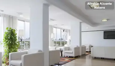 Albahia Alicante