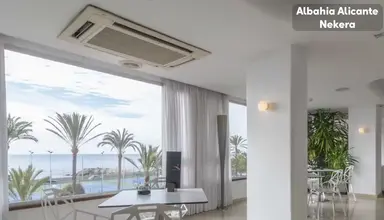 Albahia Alicante