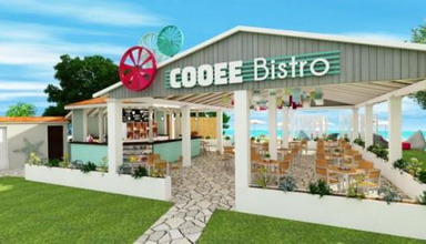 Albatros Cooee