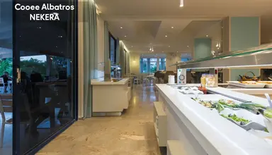 Albatros