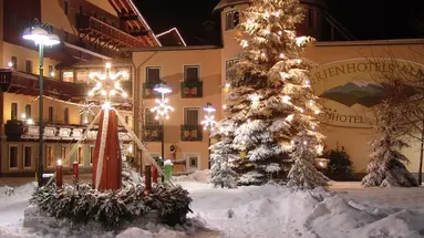 Alber Ferienhotel