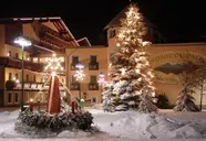 Alber Ferienhotel