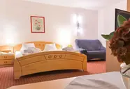 Alber Ferienhotel