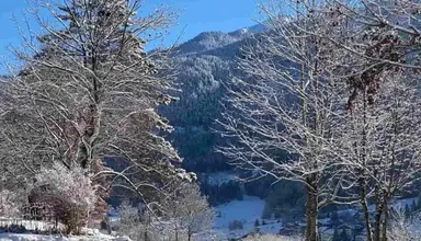 Albergo Panorama