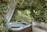 Alberi Del Paradiso