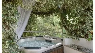 Alberi Del Paradiso