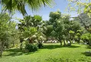 Alberi Del Paradiso