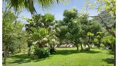 Alberi Del Paradiso