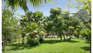 Alberi Del Paradiso