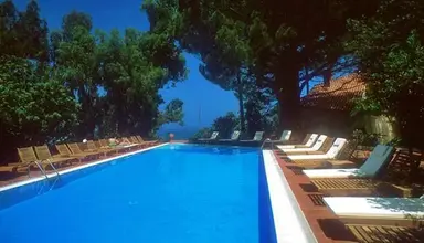 Alberi Del Paradiso