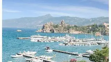 Alberi Del Paradiso