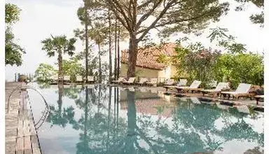 Alberi Del Paradiso