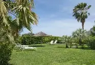 Alberi Del Paradiso