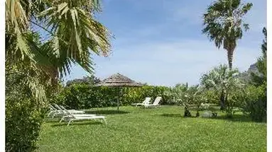 Alberi Del Paradiso