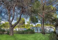 Alborea Ecolodge Resort