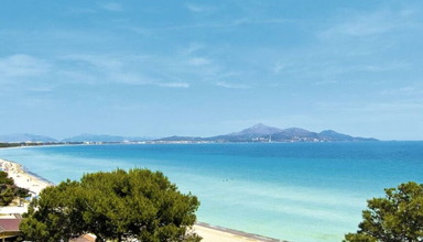 Alcudia Pins