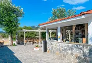 Alea & Suites 